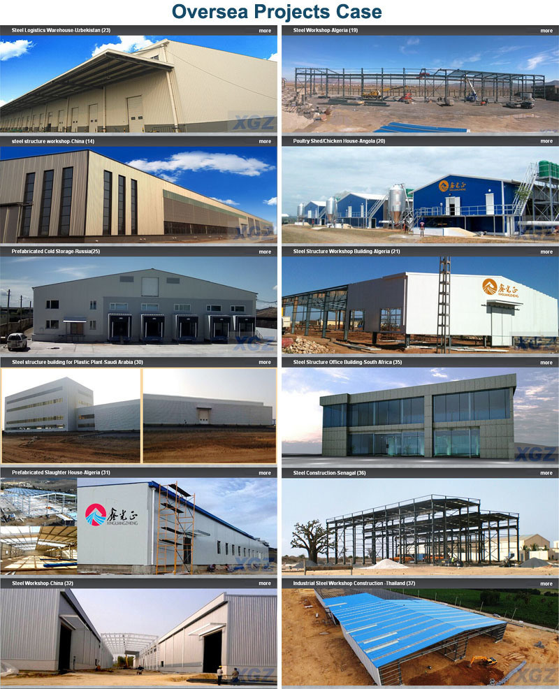 Long Span Prefab/Prefabricated Quality Commercial Steel Structure Construction