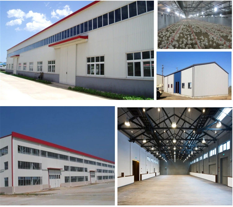 Prefabricated Light Steel Structure Industry Modular Warehouse Building