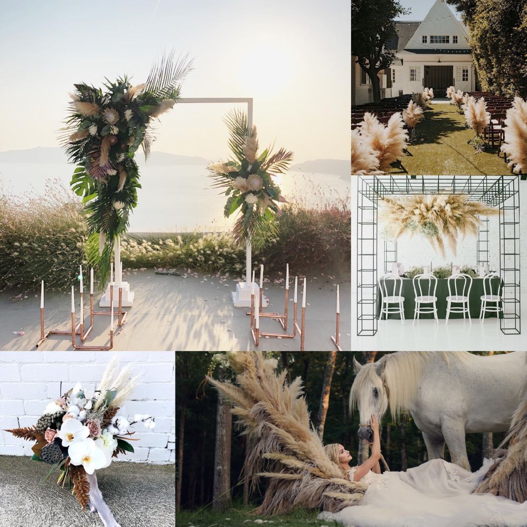 Pampas Grass Natural for Your Modern Farmhouse to Coastal and MID-Century Decor