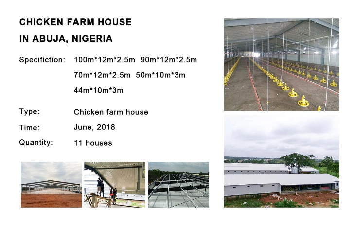 Automatic Equipment Light Weight Metal Steel Structure Frame Broiler Farm/Poultry House/Broiler House/Chicken House