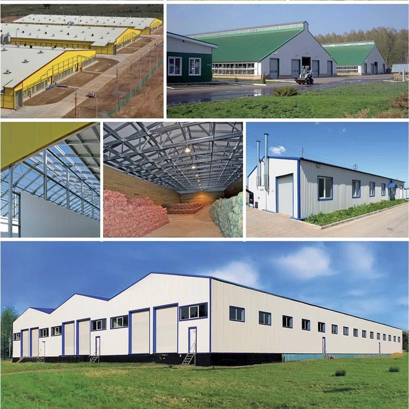 Demountable Prefabricated House Steel Structure Portable Dongas Movable Cabin