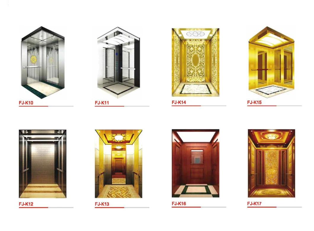 Customized Design Passenger Elevators China Villa FUJI Passenger Elevator Lift Automatic Pass Lift Stop