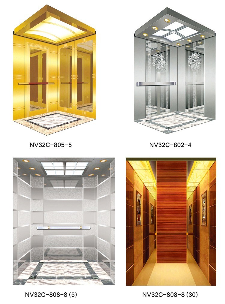 Customized Design Passenger Elevators China Villa Passenger Elevator Lift Automatic Pass Lift Stop