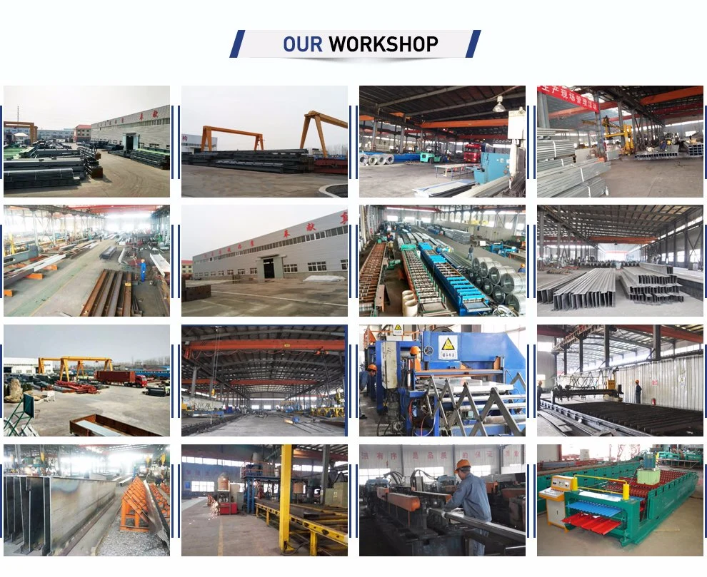 Agricultural Layer Chicken Equipment Steel Frame Buildings Steel Farm