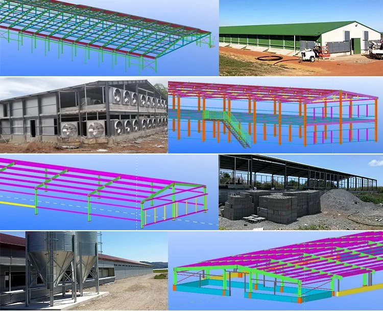 Steel Structures Construction Building Design Commercial Chicken Poultry Farm