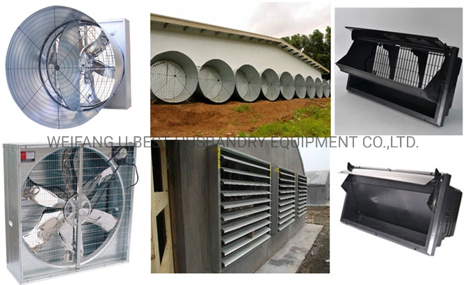 Philippines Poultry Farm House Design Automatic Broiler Chicken Raising Equipment