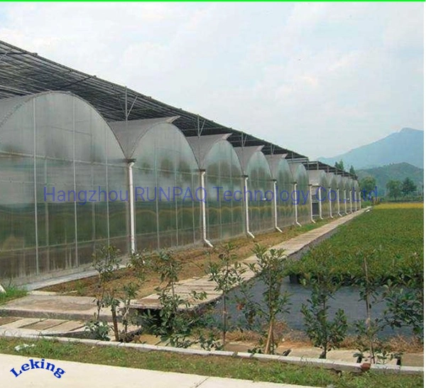 Multi Span Single Span PE Multi-Span Glass Plastic Film Hydroponic Greenhouse Vegetable Growing Tent