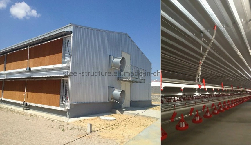 Hot Sale Prefabricated Construction Steel Structure Chicken Poultry Shed Farm Building House Shed for 10000 Chickens