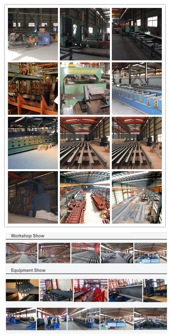 Modern Steel Framing Building /Factory/Shed/Warehouse Steel Structure Construction