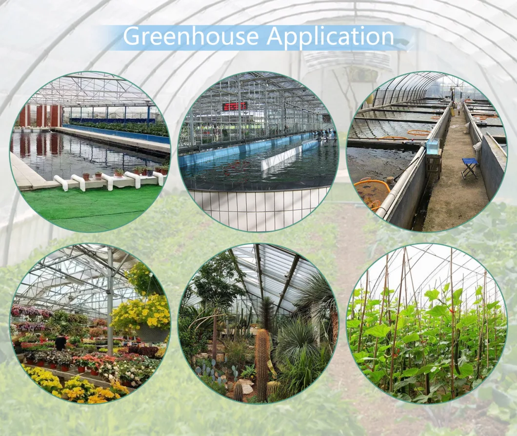 Glass Greenhouse Prefabricated Garden Greenhouses Greenhouse Design Garden Used