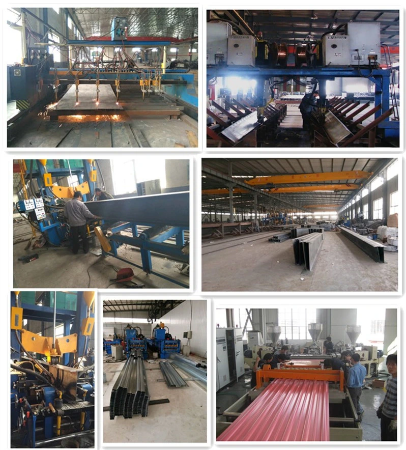 Facotory Price Flat Package Container House for Labor Comp/ Office/Home/Coffee/Dormitory House