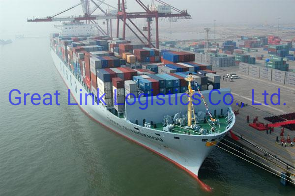Cheapest Sea Freight Professional Logistics From China to USA (west /east coast)