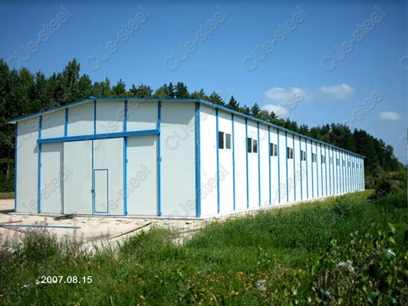 Light Steel Structure for Storge or Factory/ Light Steel Structure