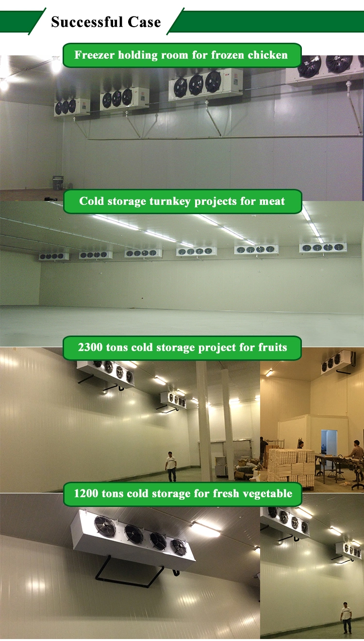 Seafood Japan Importer Vegetable Refrigerator Storage Mobile Coolrooms for Sale Cold Rooms