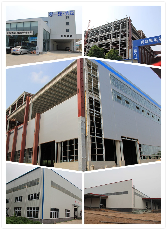 Modern Steel Framing Building /Factory/Shed/Warehouse Steel Structure Construction