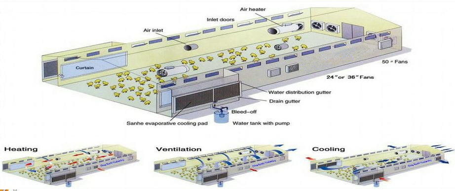 Poultry House Barns/Poultry Shed/Poultry Broiler House