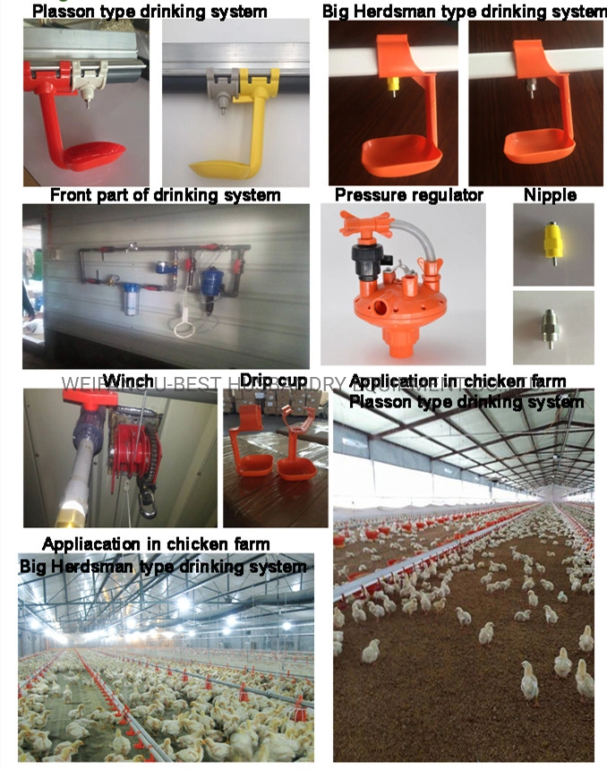 Philippines Poultry Farm House Design Automatic Broiler Chicken Raising Equipment