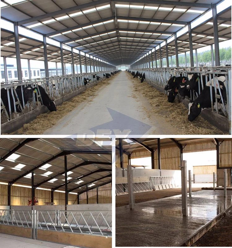 Metal Frame Commercial Prefab Poultry Buildings Construction Steel Structures