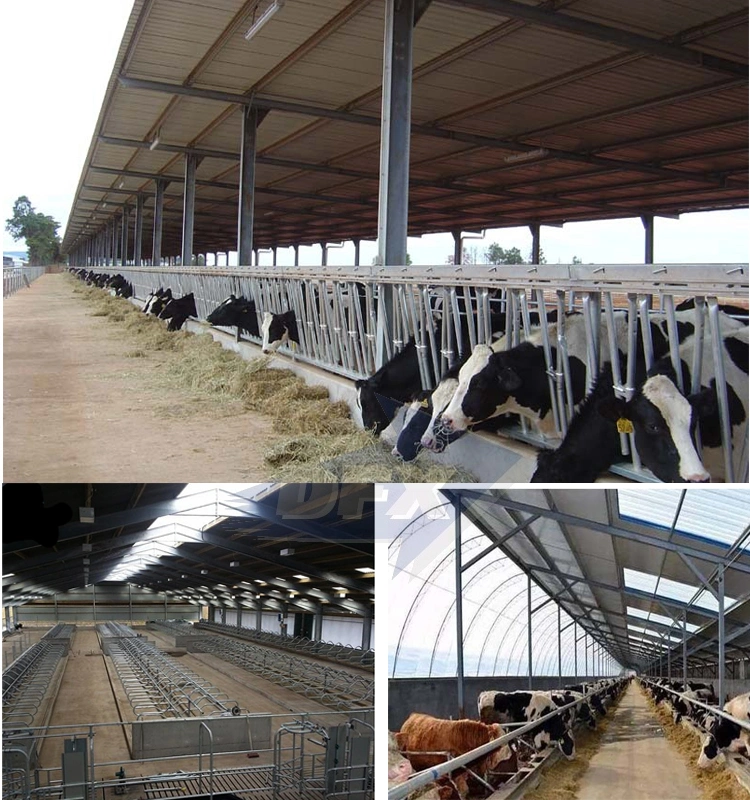 Metal Frame Commercial Prefab Poultry Buildings Construction Steel Structures