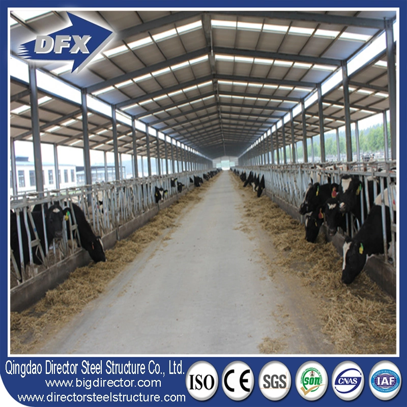 Qingdao Customized Design Prefabricated Steel Structure Cattle Farm Barn House