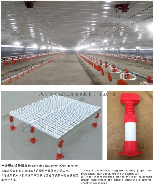 Hot Sale Prefabricated Construction Steel Structure Chicken Poultry Shed Farm Building House Shed for 10000 Chickens