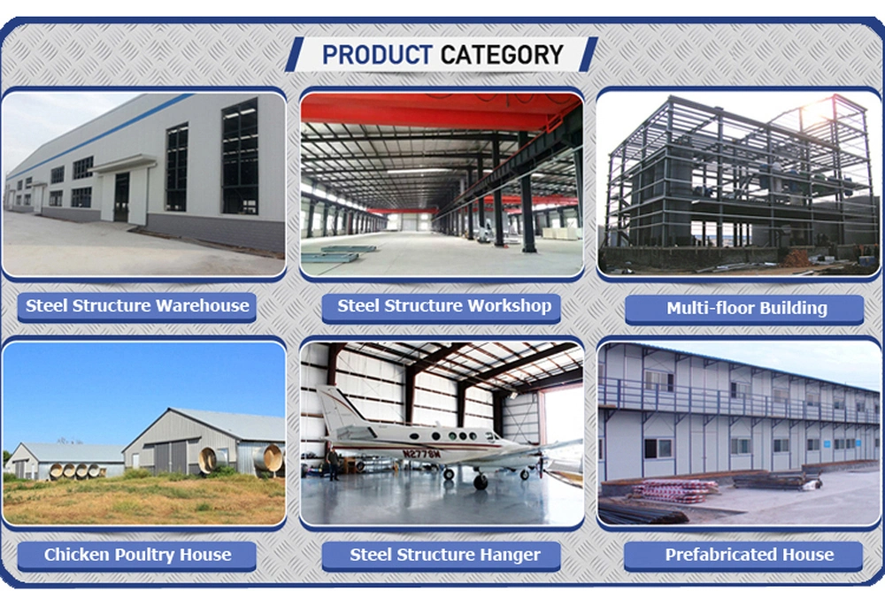 Dfx Metal Frame Prefabricated Workshop Warehouse Airplane Hangar Buildings Metal Frame