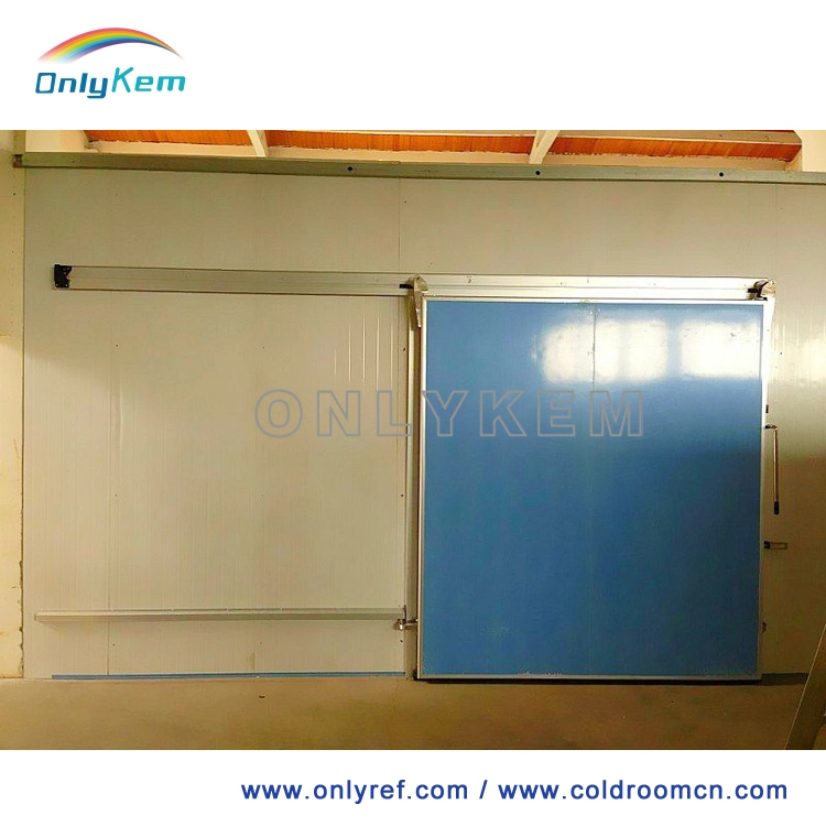 20FT Container Freezer Room, 40FT Cold Room Container