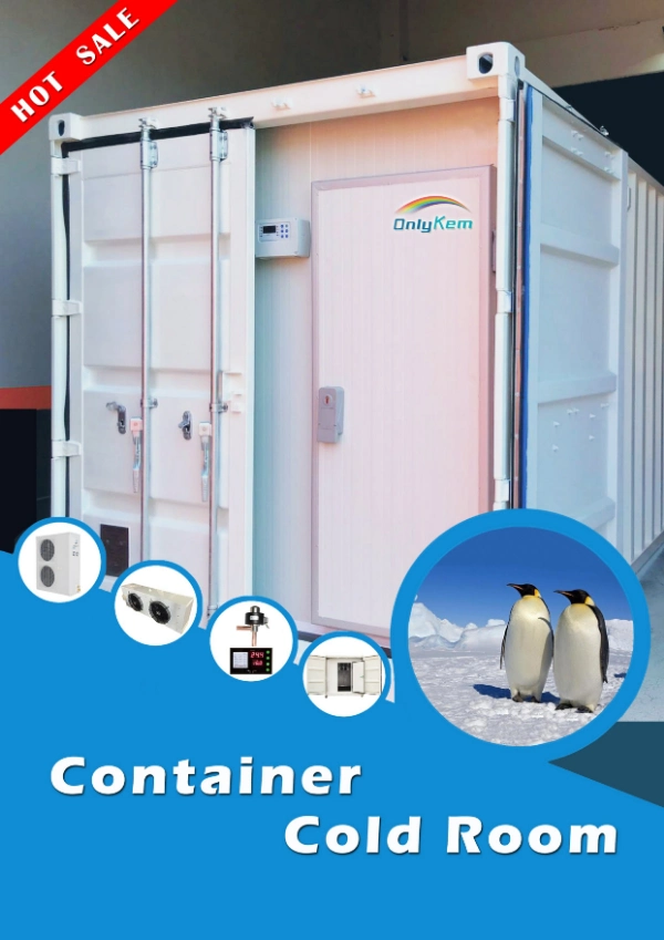 20FT Container Freezer Price, 20FT Container Cold Room
