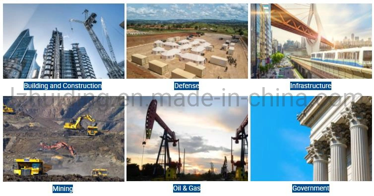 Luxury Container Homes for Sale, Customized Mini Modular Homes, High Standard Prefabricated Container House