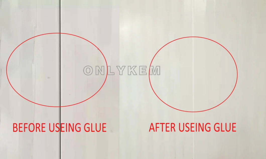 20FT Container Freezer Room, 40FT Cold Room Container