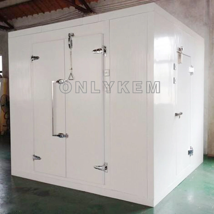 20FT Container Freezer Room, 40FT Cold Room Container