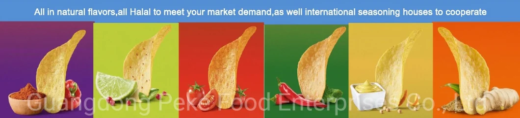 Fmcg Potato Chips to Dollar Shops/ABC Shops/Value Shops (FMCG item)