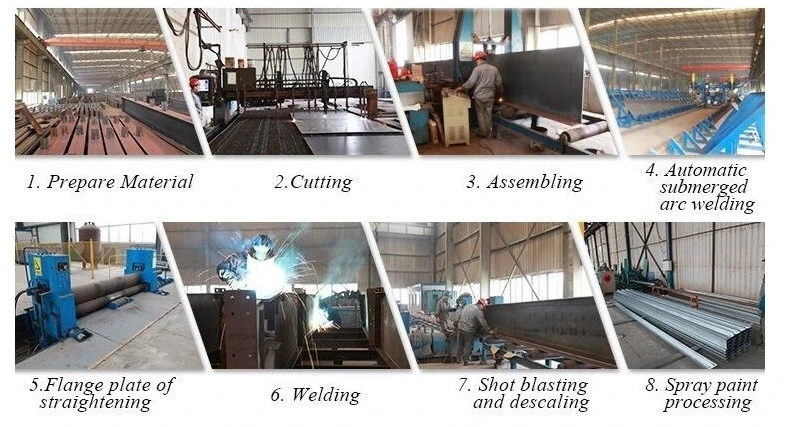 Metal Steel Structure Building Shed Warehouse Homes