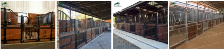Steel Frame Poultry Farm Structures Portable Temporary Horse Stables