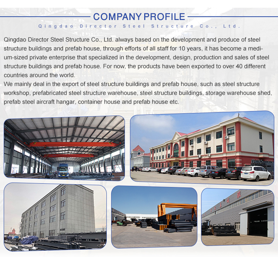 Prefabricated Luxury Villa / China Prefabricated Homes / Prefabricated House Prices