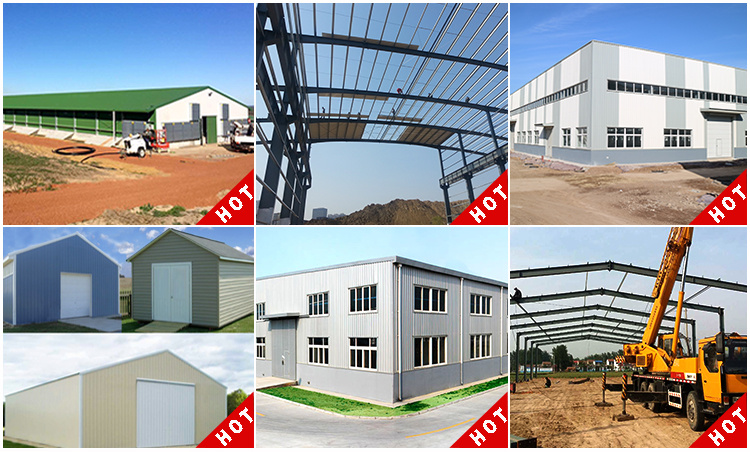 Automatic Prefabricated Steel Structure Poultry Farm Building Shed Chicken Broiler Commercial Chicken Houses