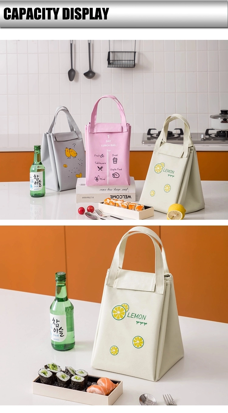 School Office Travel Portable Picnic Bento Box Lunch Cooler Bag