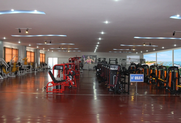 Squat Rack/ Fitness Squat Rack Sport Product Commercial Gym Equipment