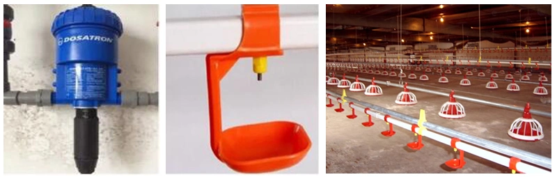 Automatic Farm Equipment Philippines/ Broiler Equipment for Prefab Chicken House