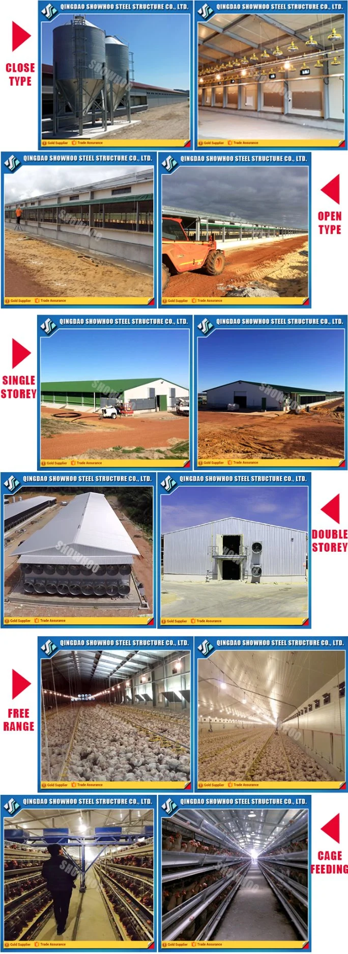 Prefab Chicken Structural Buildings Poultry Shed Farm House Design for Egg Laying