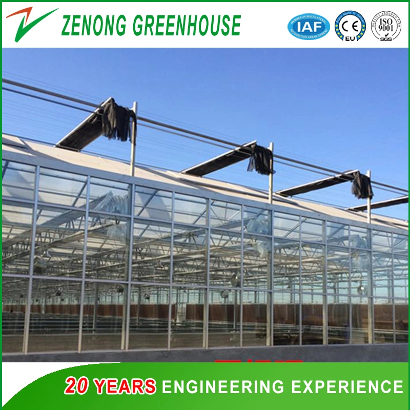 Greenhouse Outside Shading/External Screen/Outside Screen for Light Shading