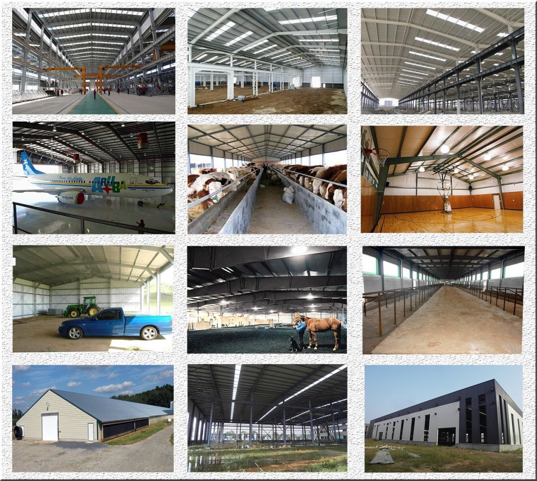 Various Colors Durable Light Prefabricated Steel Structure Garages/Hanger