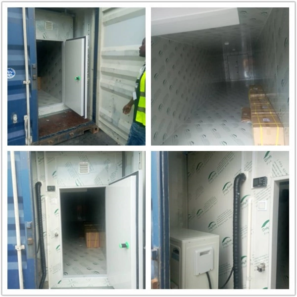 20FT Container Freezer Price, 20FT Container Cold Room
