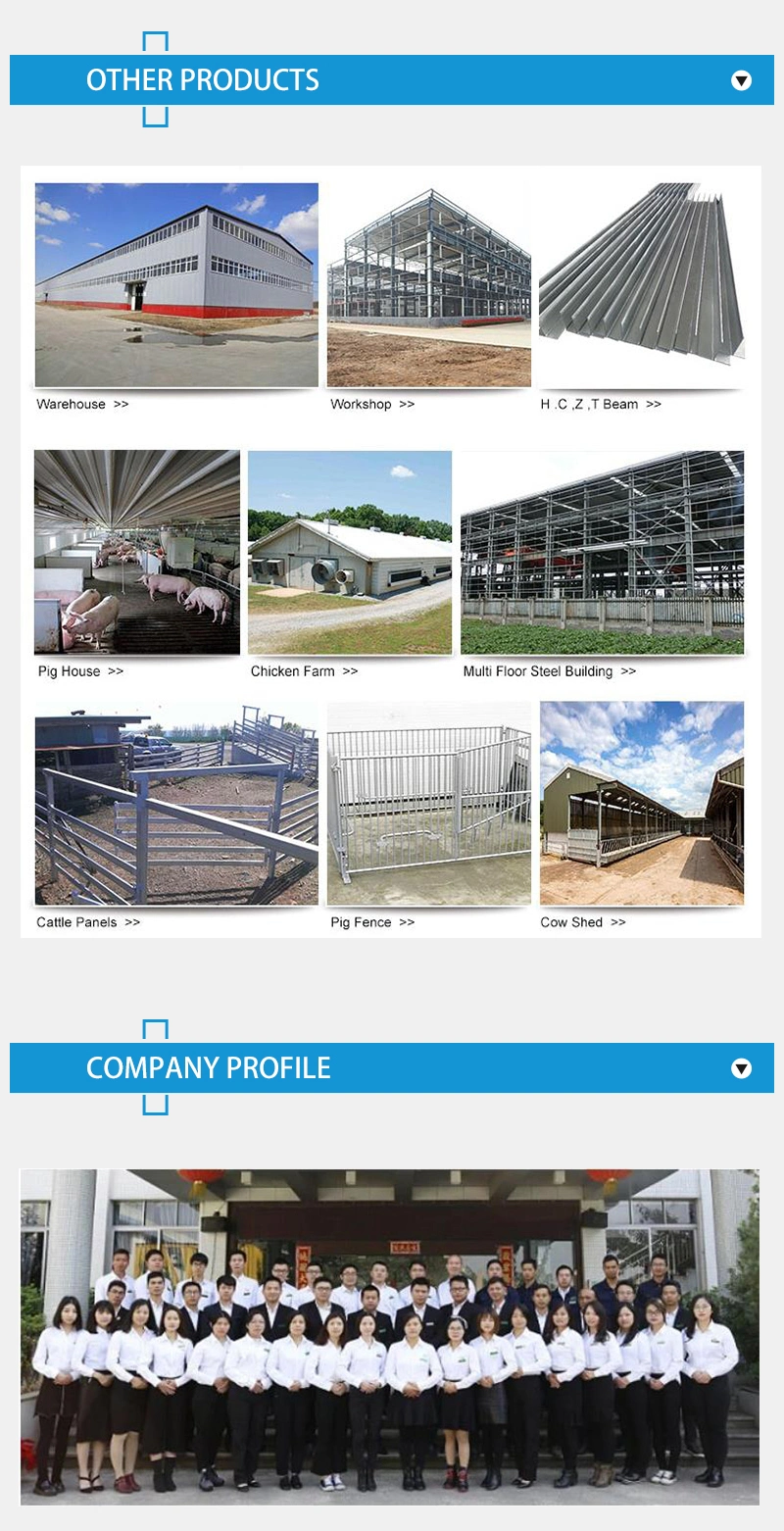 Low Cost Prefabricated House Container Prefab Steel Frame Houses Double Storey Prefab House