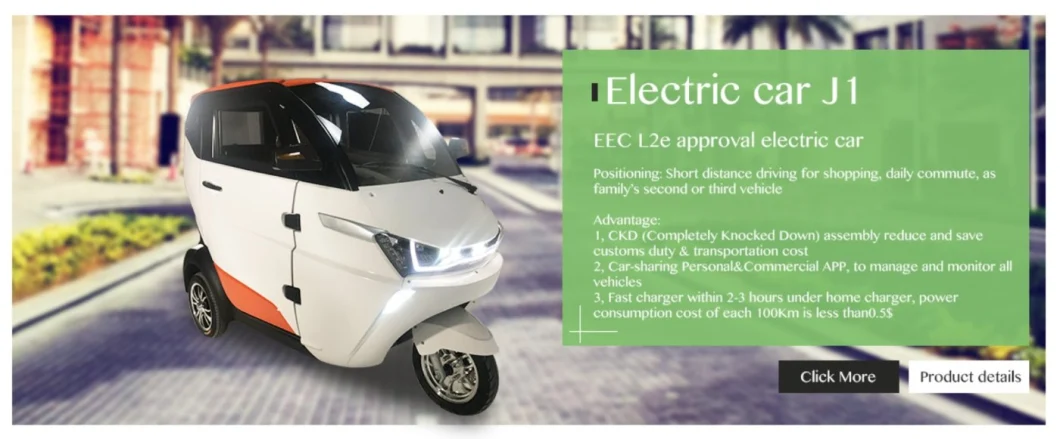 EEC Home Charge Electric Trike Motorcycle for Family Purchase