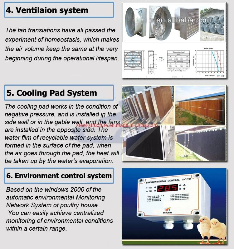 Economical Cost-Effective Poultry House Metal Structure Shed Steel Structure Farm Chicken Poultry House