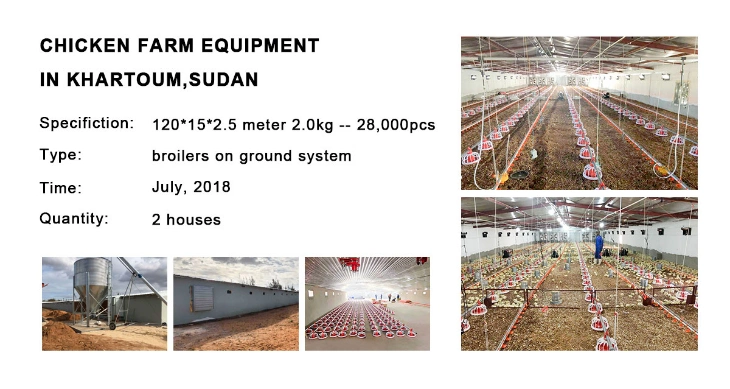 Automatic Equipment Light Weight Metal Steel Structure Frame Broiler Farm/Poultry House/Broiler House/Chicken House