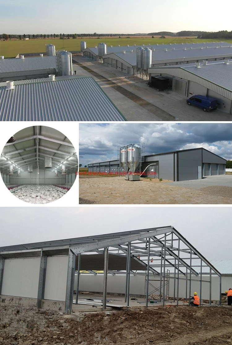 Economical Cost-Effective Poultry House Metal Structure Shed Steel Structure Farm Chicken Poultry House