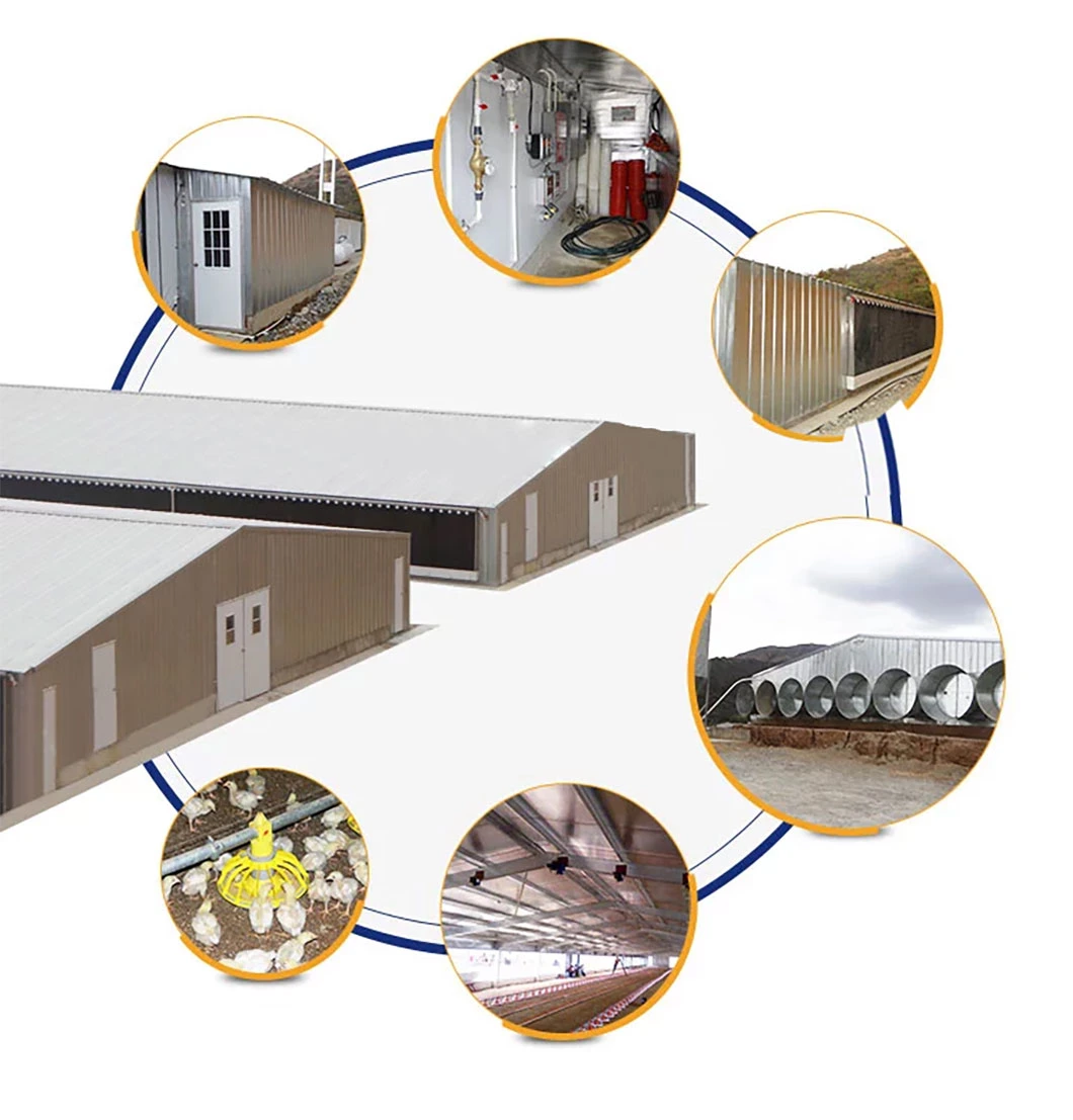 Dfx Design Eco-Friendly Fully Furnished Warehouse Prefabricated Prefabricated Modular Warehouse